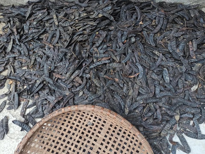 Bỏ phố về quê nấu nước gội đầu thảo mộc, bà mẹ 2 con chốt đơn mỏi tay-3