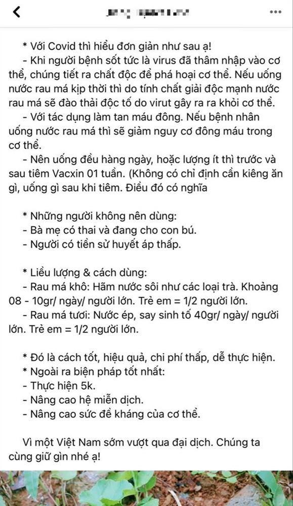 Rộ thông tin dùng rau má làm bài thuốc phòng và điều trị COVID-19: Liệu có thực sự thần thánh như lời đồn?-3