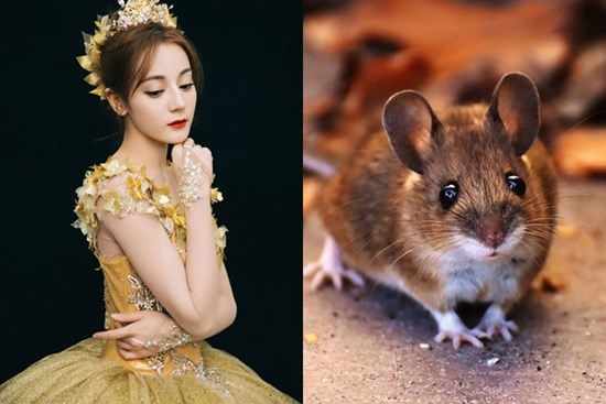 3 con giáp may mắn trở thành 