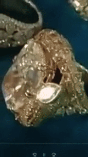Cận cảnh viên kim cương to nhất mà ca sĩ vùng đất cấm muốn có trong BST của nữ đại gia Bình Dương: Tận 45 carat hiếm nhất thế giới, giá hơn 1.000 tỷ đồng-3