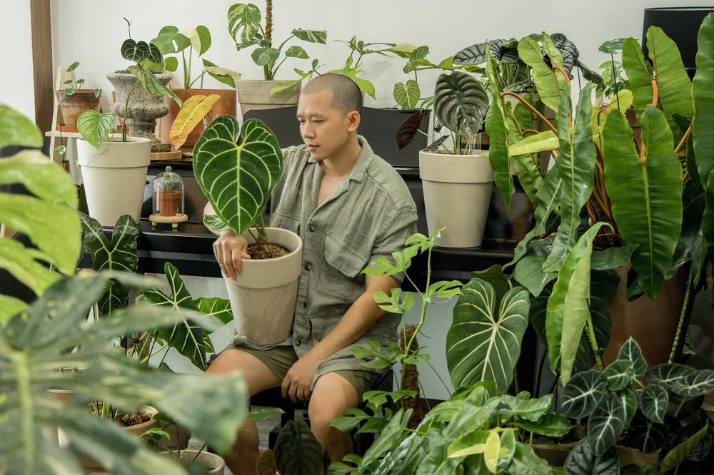 Chàng trai Sài Gòn chi 4 tỷ đồng phủ xanh nhà với bạt ngàn cây, bộ sưu tập tận hơn trăm loài ngắm mà nể-1