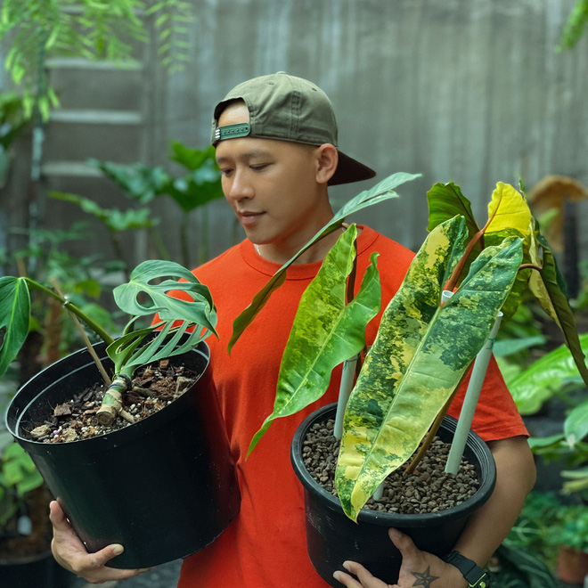 Chàng trai Sài Gòn chi 4 tỷ đồng phủ xanh nhà với bạt ngàn cây, bộ sưu tập tận hơn trăm loài ngắm mà nể-3