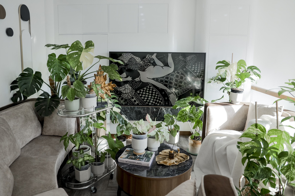 Chàng trai Sài Gòn chi 4 tỷ đồng phủ xanh nhà với bạt ngàn cây, bộ sưu tập tận hơn trăm loài ngắm mà nể-6