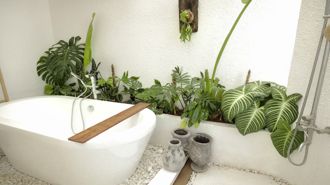 Chàng trai Sài Gòn chi 4 tỷ đồng phủ xanh nhà với bạt ngàn cây, bộ sưu tập tận hơn trăm loài ngắm mà nể-15