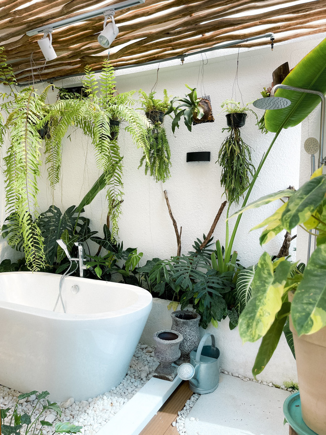 Chàng trai Sài Gòn chi 4 tỷ đồng phủ xanh nhà với bạt ngàn cây, bộ sưu tập tận hơn trăm loài ngắm mà nể-17