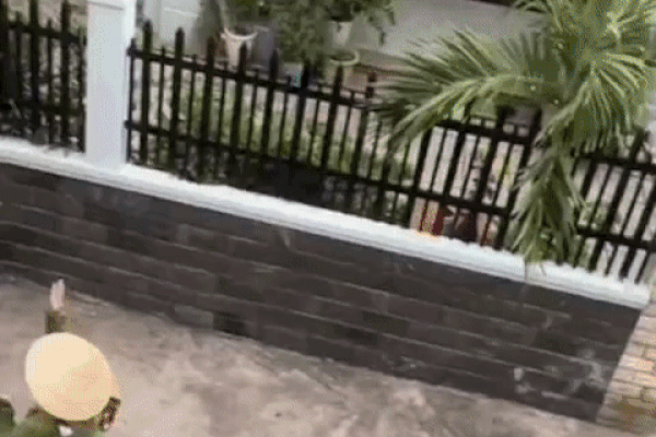 TNV nhảy điệu cha cha cha tại điểm tiêm vaccine ở TP.HCM-1