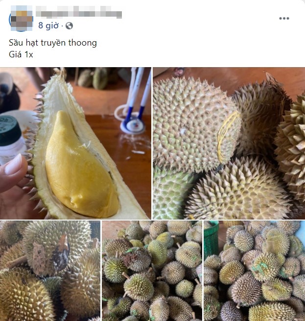 Sầu riêng Đắk Lắk vào chính vụ, chị em đặt hàng với giá chỉ 35.000 đồng/kg ở chợ mạng-4