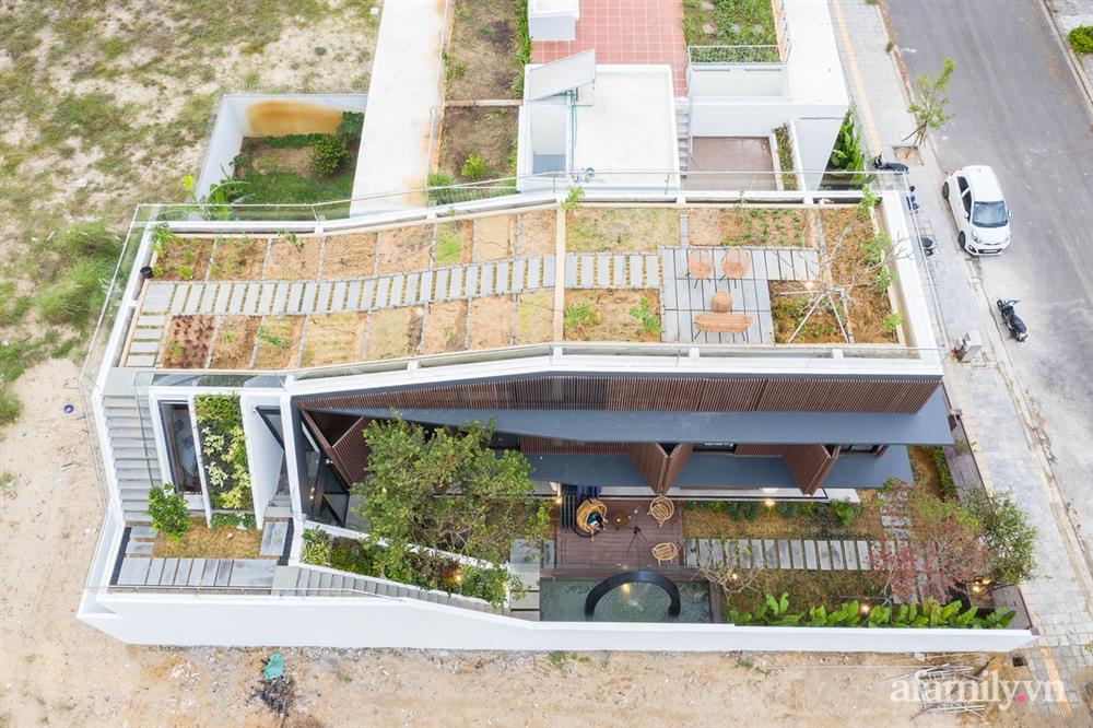 Nhà phố tạo ấn tượng mạnh với khu vườn khúc khuỷu trên sân thượng ở Đà Nẵng-2