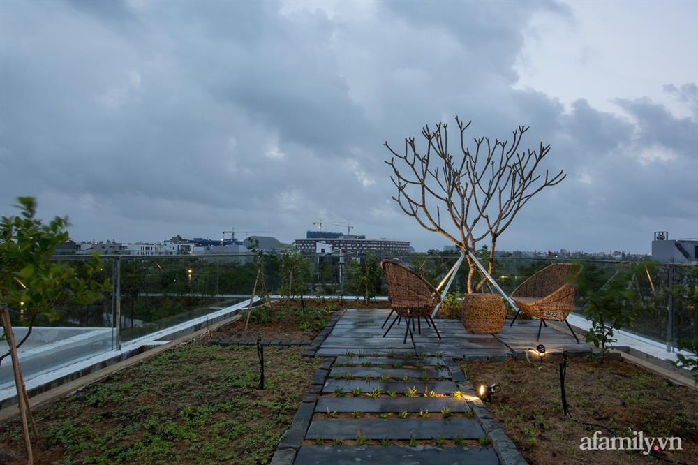 Nhà phố tạo ấn tượng mạnh với khu vườn khúc khuỷu trên sân thượng ở Đà Nẵng-20