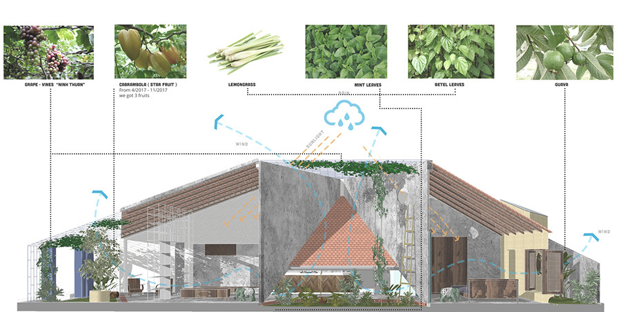 Nhà cấp 4 luôn mát mẻ nhờ ‘bẫy’ gió, có vườn rau và cây trái trong nhà-2
