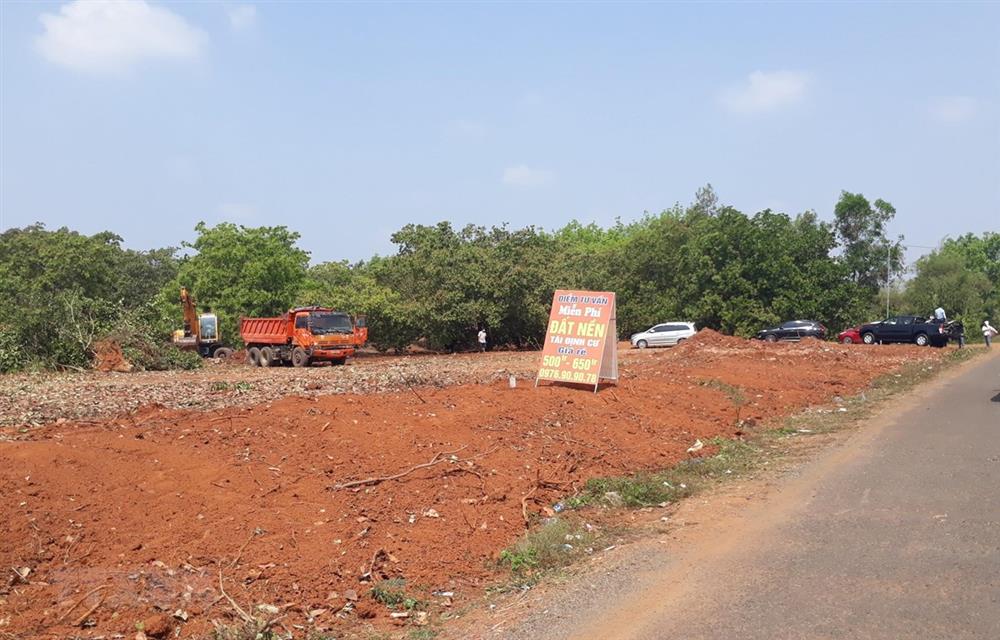 Lời 2 tỷ trong vòng 3 tháng không chịu bán, nhà đầu tư này chờ lỗ gần 200 triệu mới hốt hoảng ra hàng-2