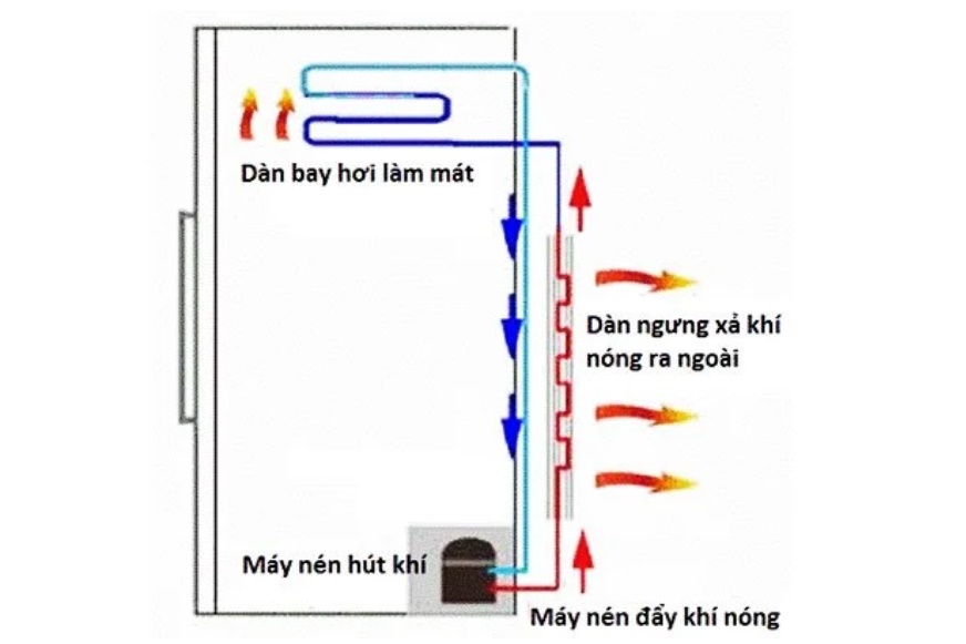 Vỏ ngoài tủ lạnh nóng ran: Xem ngay những cách hạ nhiệt dưới đây, giãn cách không lo tủ hỏng-1