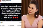 Ca sĩ Mỹ Lệ nhận xét gay gắt về đại diện Việt Nam tại Miss World: Xấu đau xấu đớn, nhạt nhẽo, não chỉ có vậy-7