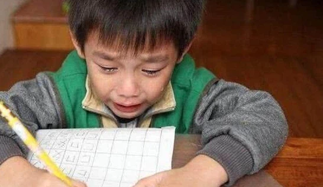 Bài văn tả ước mơ làm heo của học sinh tiểu học có lý lẽ không thể thuyết phục hơn, đáng giá nhất là nhận xét của giáo viên-1