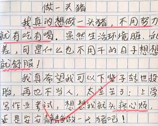 Bài văn tả ước mơ làm heo của học sinh tiểu học có lý lẽ không thể thuyết phục hơn, đáng giá nhất là nhận xét của giáo viên-3