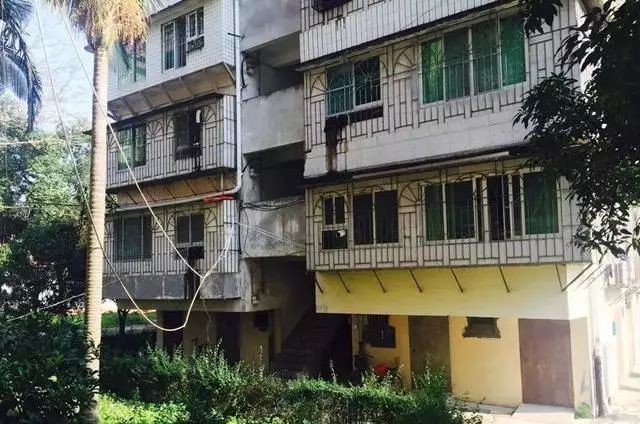 Thảm kịch thiên tài giết mẹ: Từ đứa con hoàn hảo trở thành nghịch tử máu lạnh vì muốn thoát khỏi gông cùm của sự kỳ vọng-2