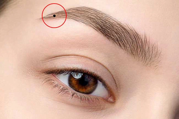 3 cung hoàng đạo này người yêu có thể không có, nhưng pet phải nuôi 1 em-4