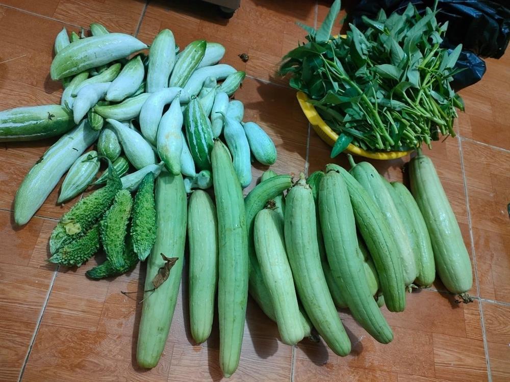 Lương 30 triệu cuối tháng hết sạch, vợ chồng trẻ khổ sở xin viện trợ quê-2