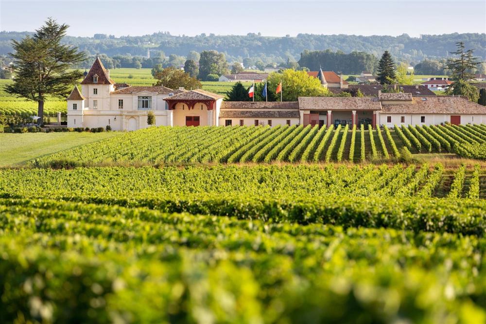 Tài sản kếch xù của Triệu Vy ở Pháp-4