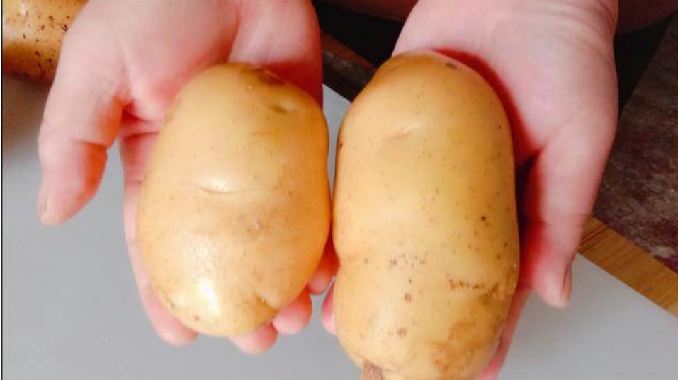 Khi mua khoai tây nên chọn củ to hay củ nhỏ? Nếu đã biết mẹo này, đừng nên chọn nhầm-2