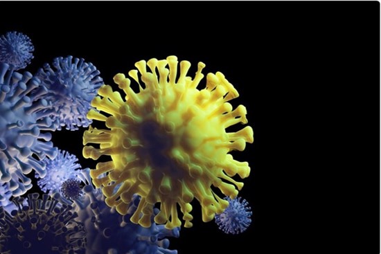 Nam Phi phát hiện biến chủng nCoV mới