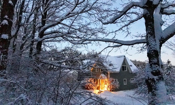 Cặp vợ chồng bỏ phố về quê, nghỉ hưu ở tuổi 32 chỉ bằng cách tiết kiệm chi phí sinh hoạt nhưng vẫn thỏa mãn và ngày càng hạnh phúc-4