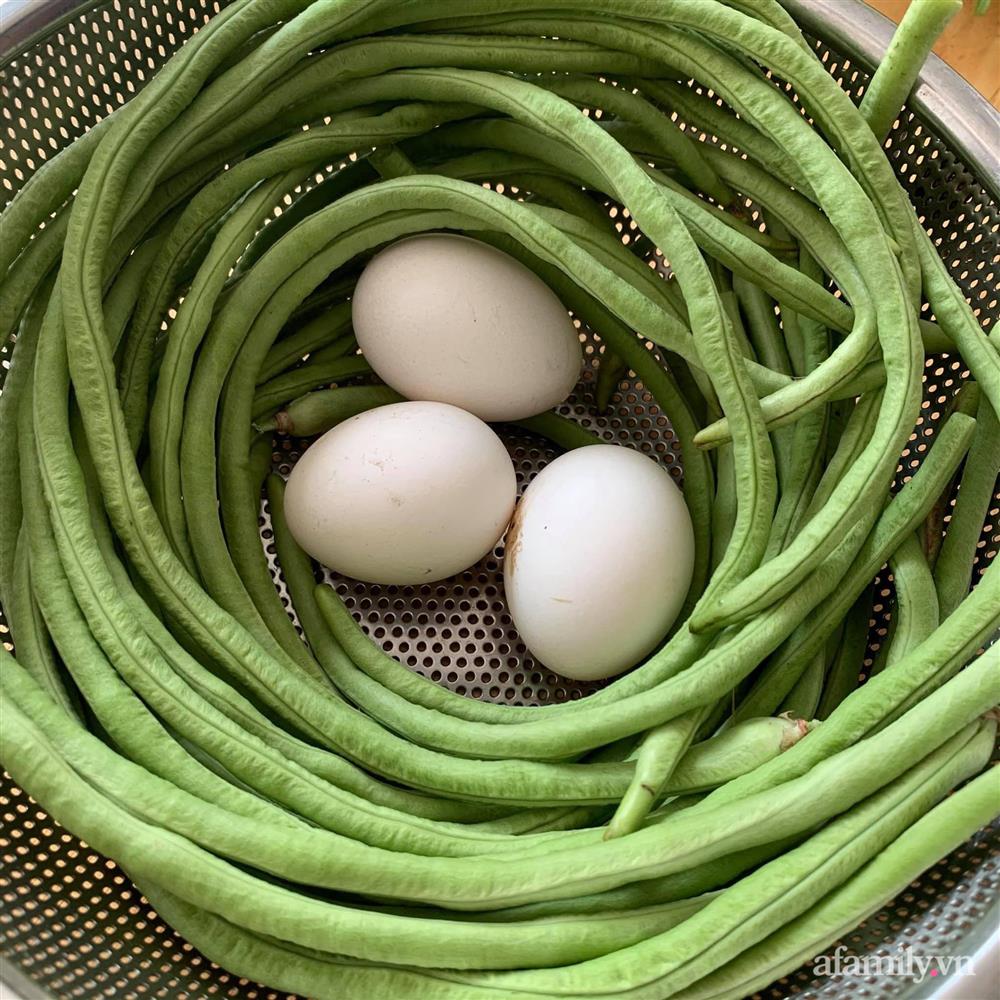 Khu vườn sân thượng nhỏ nhưng rau gì cũng có của mẹ đảm ở Hà Nội-16