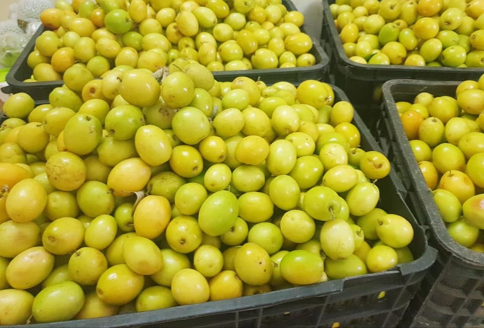 Đánh vụ táo chua, mỗi ngày chốt đơn 3 tạ, bỏ túi triệu bạc-1