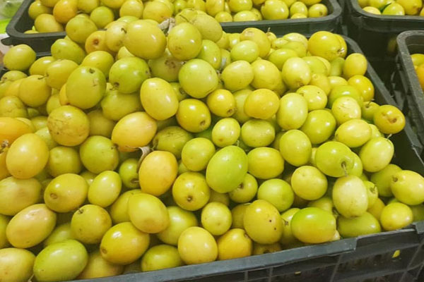 Táo đá Trung Quốc tràn ngập thị trường, giá rẻ như rau-3