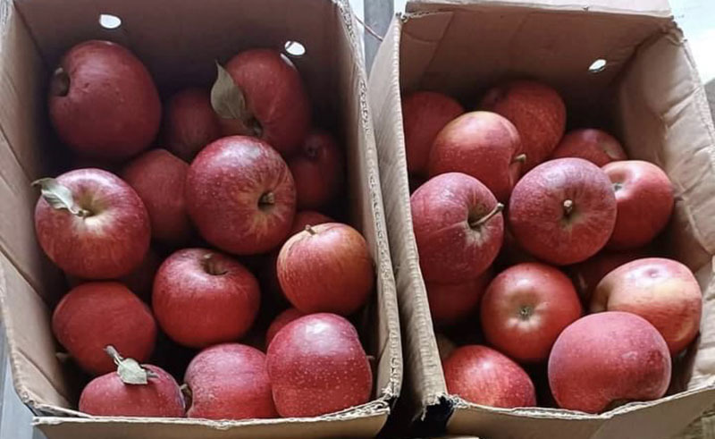 Táo đá Trung Quốc tràn ngập thị trường, giá rẻ như rau-1