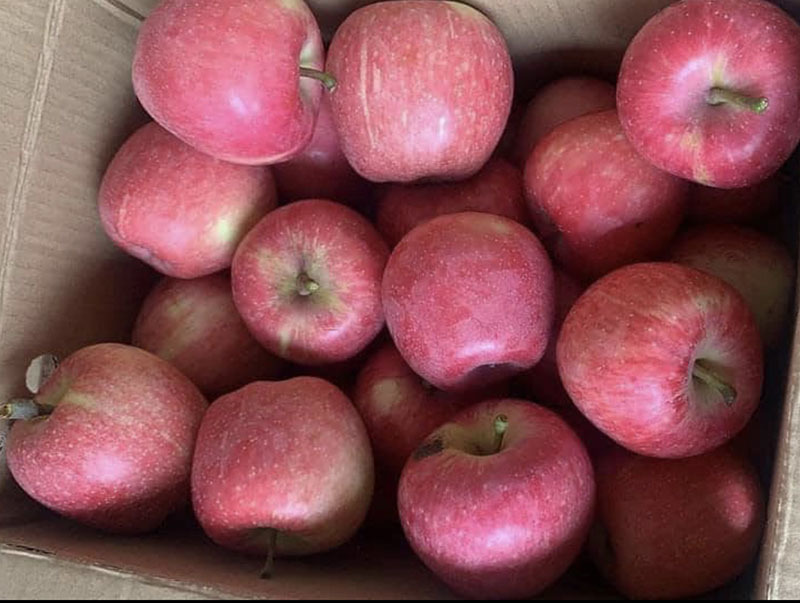 Táo đá Trung Quốc tràn ngập thị trường, giá rẻ như rau-2