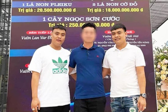 Vụ bắt anh em đại gia lan đột biến ở Quảng Ninh: Phanh phui 
