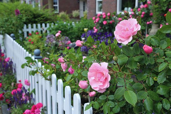 Bước ra khỏi cuộc hôn nhân thất bại, lại sa vào mối quan hệ tay ba