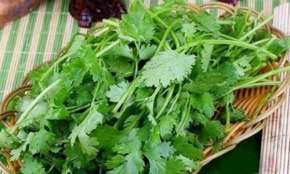 Cho rau mùi vào túi và bảo quản trong vòng 1 năm, ăn vẫn giống như rau mới mua-3