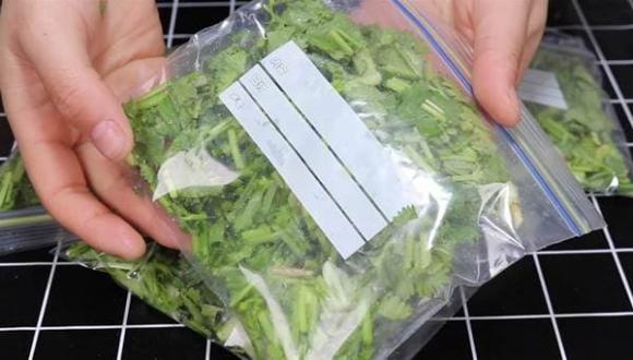 Cho rau mùi vào túi và bảo quản trong vòng 1 năm, ăn vẫn giống như rau mới mua-7