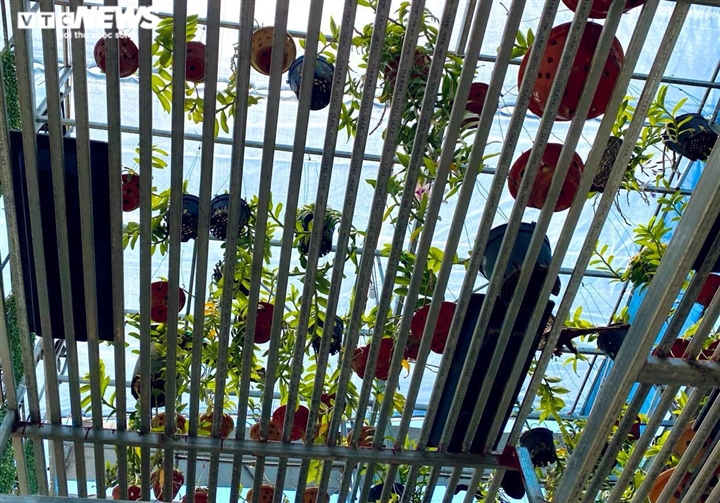 Đột quỵ vì lan đột biến-1