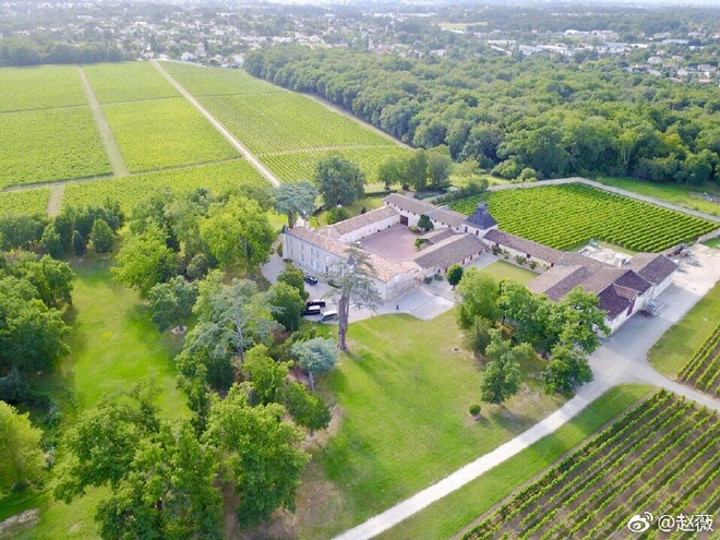 Ở Pháp nàng én nhỏ Triệu Vy sở hữu khối bất động sản khổng lồ gồm dinh thự cổ 141 tỷ và vườn nho 7 hecta-4