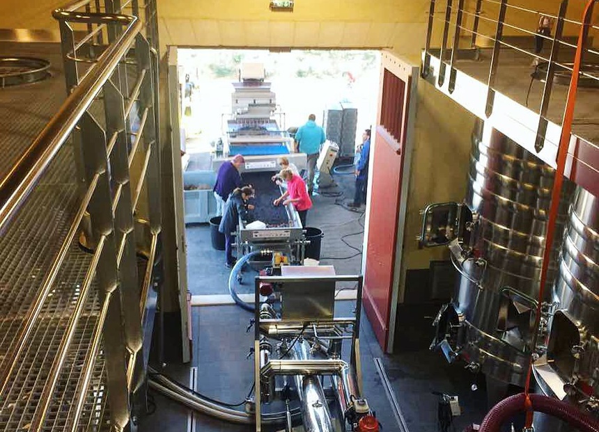 Ở Pháp nàng én nhỏ Triệu Vy sở hữu khối bất động sản khổng lồ gồm dinh thự cổ 141 tỷ và vườn nho 7 hecta-6