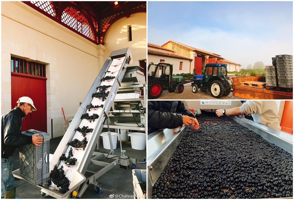 Ở Pháp nàng én nhỏ Triệu Vy sở hữu khối bất động sản khổng lồ gồm dinh thự cổ 141 tỷ và vườn nho 7 hecta-7