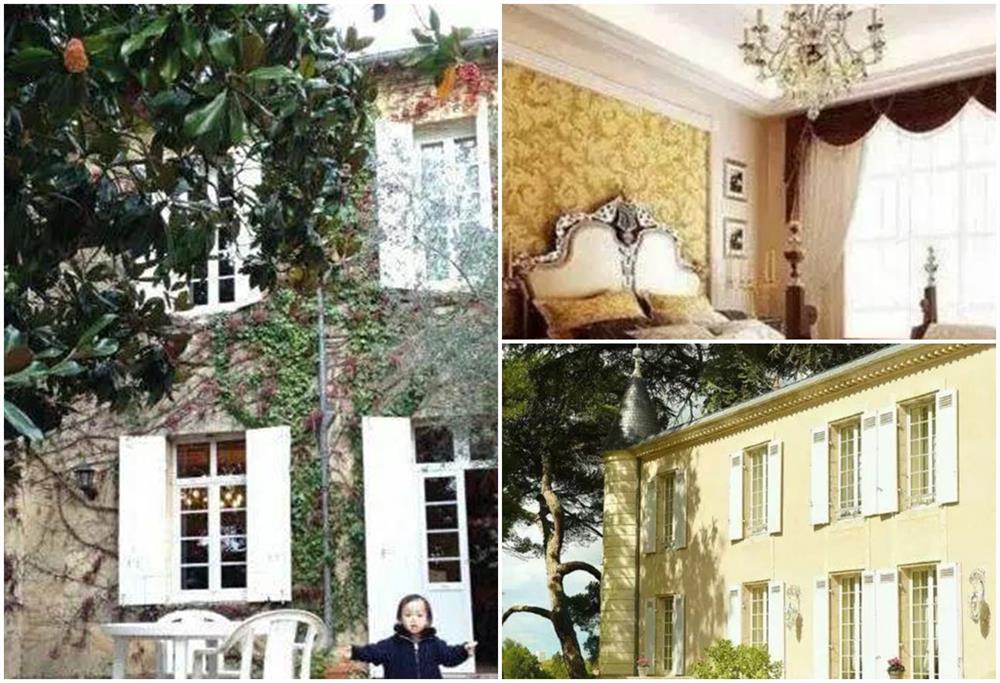 Ở Pháp nàng én nhỏ Triệu Vy sở hữu khối bất động sản khổng lồ gồm dinh thự cổ 141 tỷ và vườn nho 7 hecta-8