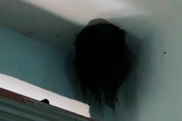 Vợ chồng kinh hoàng phát hiện cái đầu đầy tóc thò ra ở góc nhà, sởn da gà khi biết danh tính liền vội vã gọi cứu hộ-1