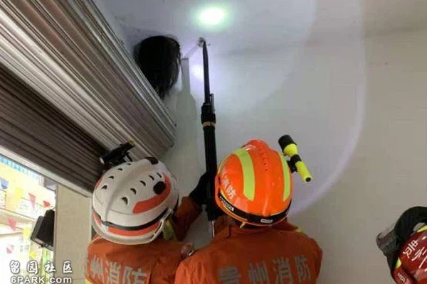 Vợ chồng kinh hoàng phát hiện cái đầu đầy tóc thò ra ở góc nhà, sởn da gà khi biết danh tính liền vội vã gọi cứu hộ-2