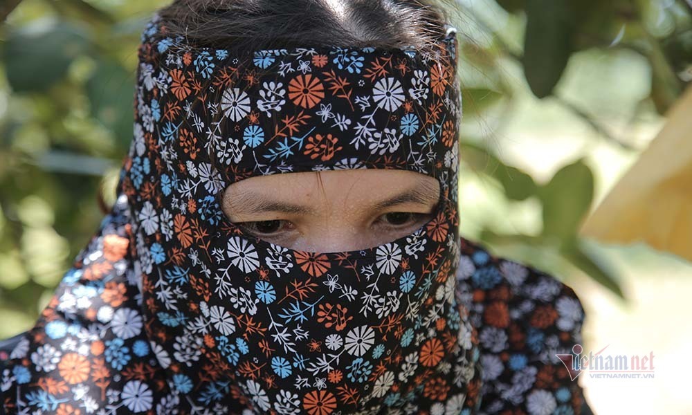 Chín vàng khắp vườn đồi, đặc sản chưa bao giờ đủ bán nay lo ế vạn tấn-15