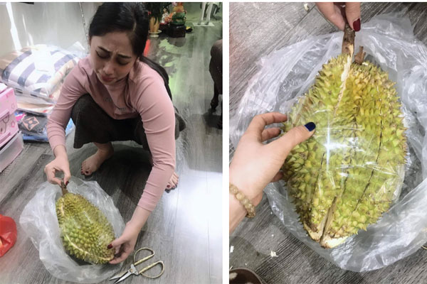 Khi quả sầu riêng chưa kịp chín đã bị làm thịt, suýt rơi nước mắt với kết quả-7