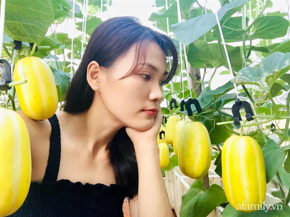 Khu vườn bạt ngàn các loại dưa và nho trên sân thượng 50m² của mẹ đảm Sài Gòn-4