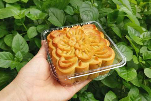 Giá gà rẻ như cho không, 6.000 đồng/kg vẫn không ai đoái hoài-3