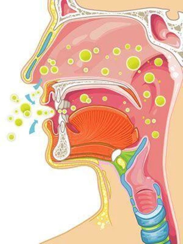 Thực hư việc súc miệng họng thường xuyên để ngừa COVID-19: Lời khuyên của bác sĩ chuyên khoa Tai-Mũi-Họng-2