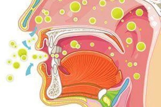 Thực hư việc súc miệng họng thường xuyên để ngừa COVID-19: Lời khuyên của bác sĩ chuyên khoa Tai-Mũi-Họng