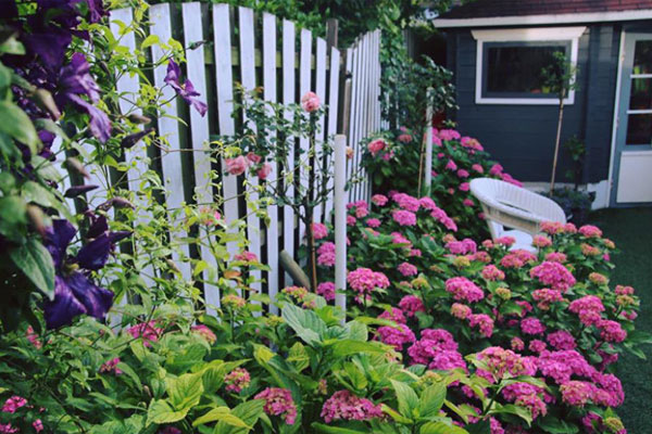 Bỏ nhà lầu xe hơi, vợ tôi đi thuê trọ cùng tình trẻ-1