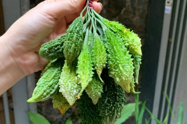 Đặc sản Hà Nội ngày cuối mùa, khách tranh mua ăn dè đến sang năm-4